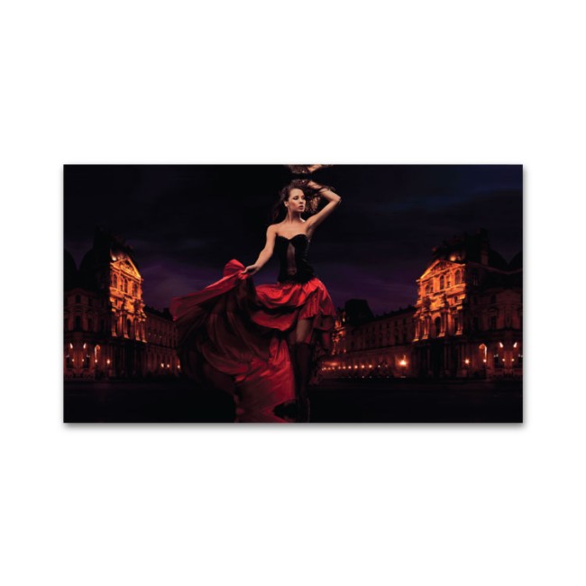 Flamenco vászonkép - 80x150 cm - AKCIÓ!