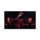 Flamenco vászonkép - 80x150 cm - AKCIÓ!