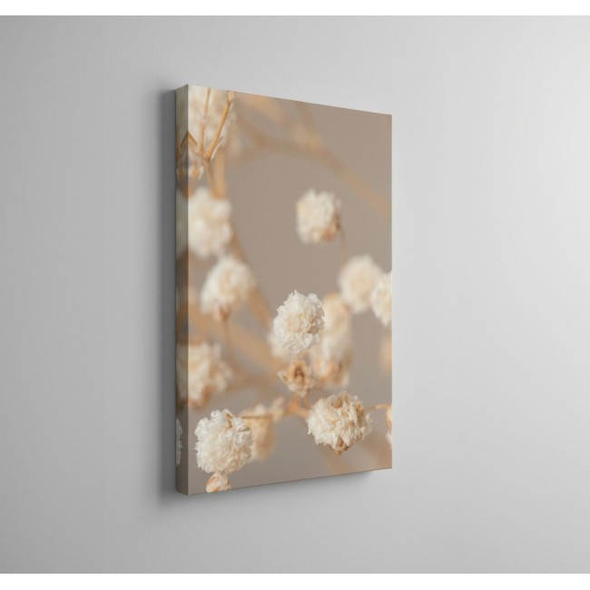 Száraz Virágok Tánca