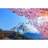 Fotótapéta - Havas táj, Fuji hegység - 360x240 cm