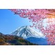 Fotótapéta - Havas táj, Fuji hegység - 360x240 cm