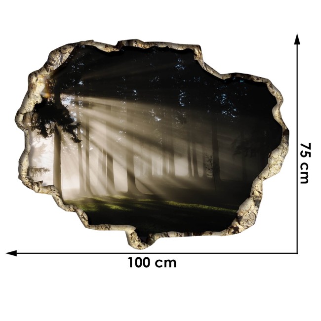 Kilátás a 3D-s falon keresztül - Erdő
