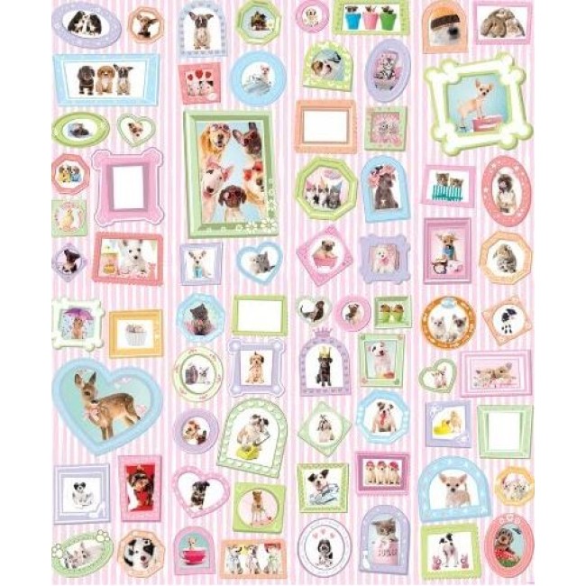 Fotótapéta - Studio Pets