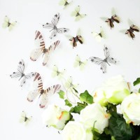 3D Élethű pillangó csomag - Áttetsző Fehér
