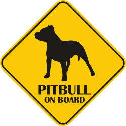Autós matrica - Pitbull