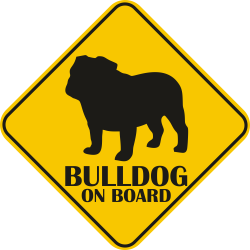 Autós matrica - Bulldog matrica