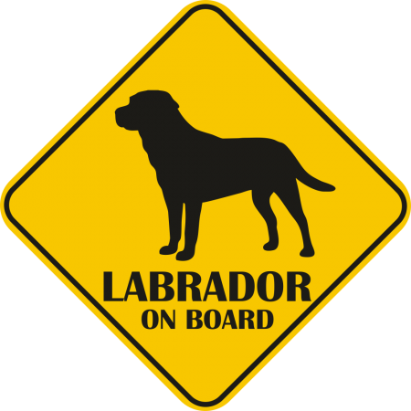 Autós matrica - Labrador