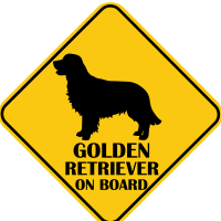 Autós matrica - Golden Retriever
