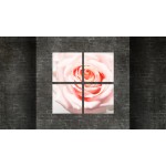 Többrészes vászonkép - Rózsaszín rózsa
