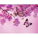 Rózsaszín pillangók