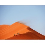 A sivatagban