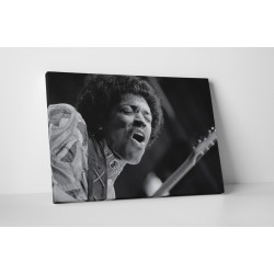 Jimi Hendrix vászonkép