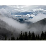 Ködös hegyvidék