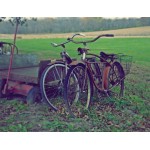 Öreg biciklik