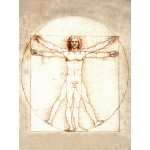 Vitruvián ember - 50x70 - Vászonkép