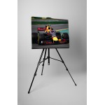 F1 Red Bull Max Verstappen - 55 x 75 cm vászonkép