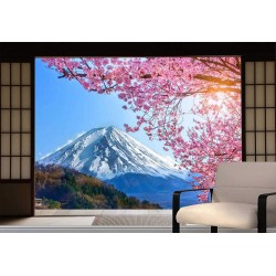 Vinil fotótapéta 3D hatással Shoji ajtó - Fuji hegység - 360x240