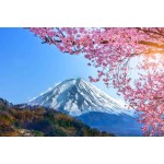 Fotótapéta - Havas táj, Fuji hegység